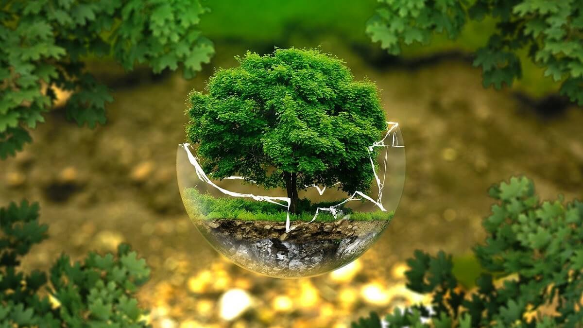 ecologia